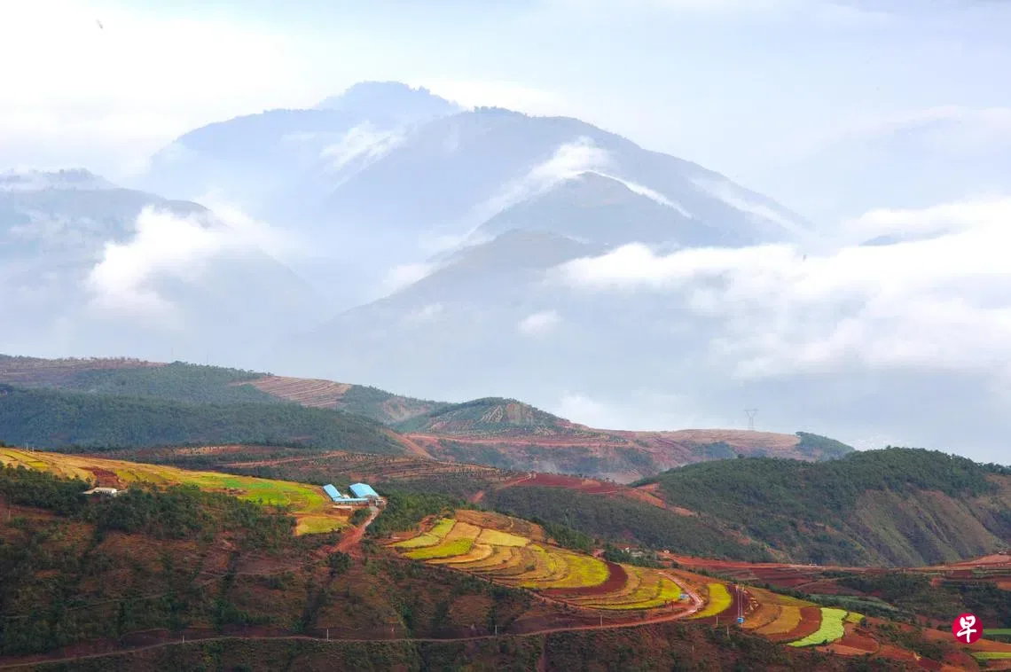 东川红土地远眺云海与梯田